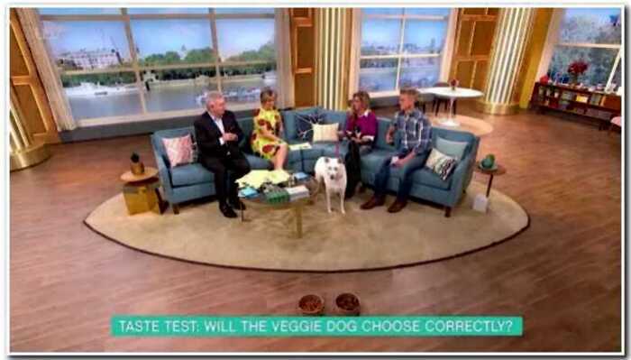 Женщину, которая сделала из своей собаки «вегана», пригласили на тв-шоу для теста