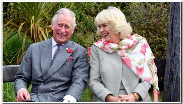 Британские СМИ: Принц Чарльз и принцесса Камилла готовятся к разводу
