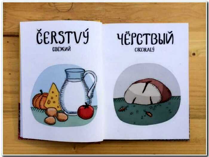 25+ веселых доказательств того, что русский и чешский языки — очень разные
