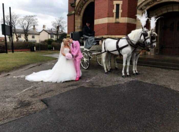 Британец бросил невесту у алтаря, променяв ее на 200-килограммовую свинью
