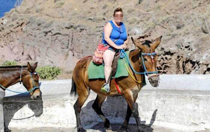 В Греции толстым туристам запретят кататься верхом на осликах