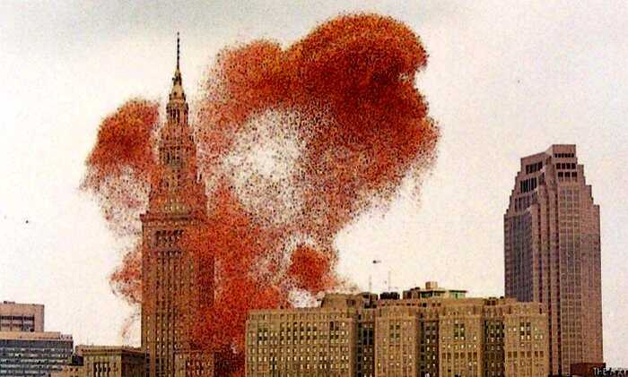 В Америке в небо запустили 1,5 миллиона шариков и вызвали экологическую катастрофу