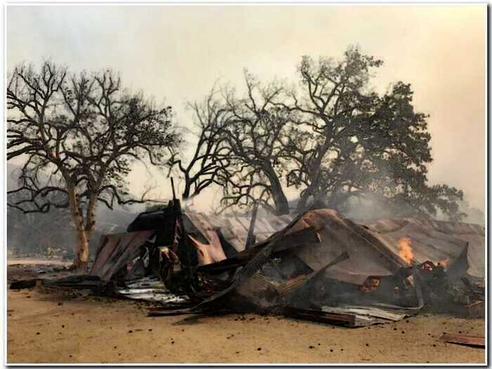 Лесные пожары в Калифорнии добрались до Голливуда. Дома звезд сожжены
