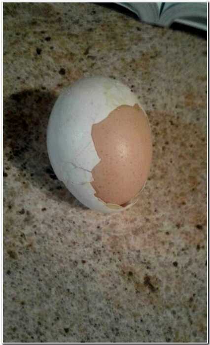 20 странных куриных яиц, которые удивили даже бывалых фермеров