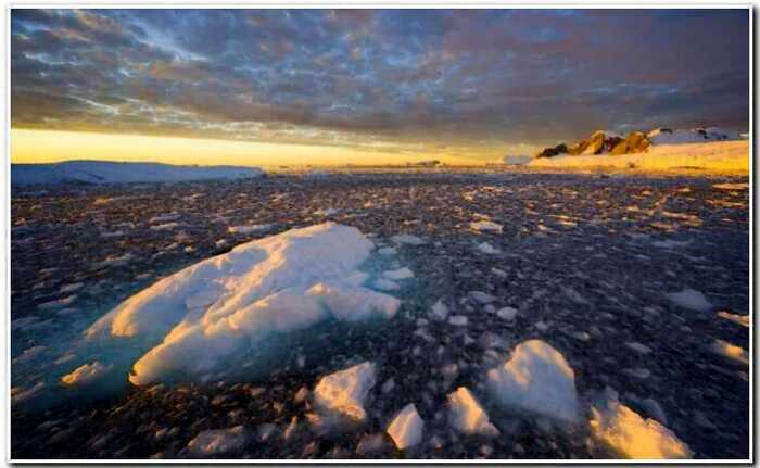 20 любопытных фактов об Антарктиде, которые не знает практически никто