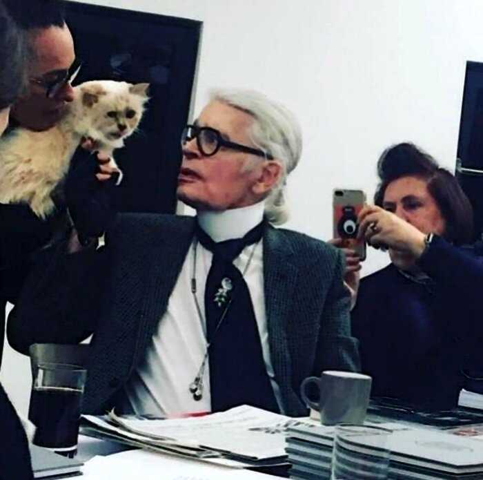 Легендарный модельер Карл Лагерфельд оставил все свое состояние кошке