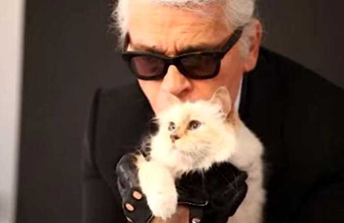 Легендарный модельер Карл Лагерфельд оставил все свое состояние кошке