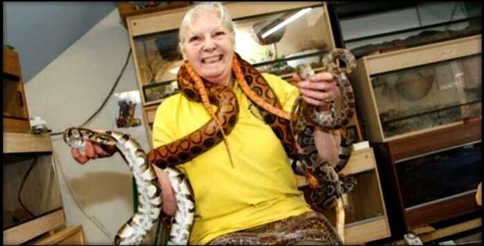 “Королева змей”: британка потратила все сбережения, чтобы приютить у себя 500 ядовитых змей