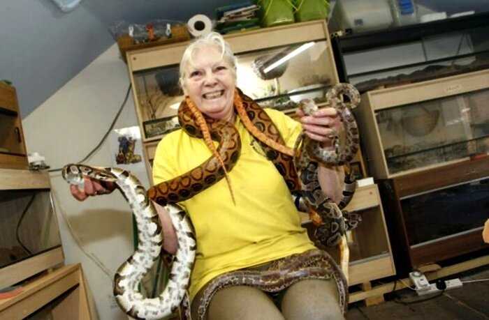 “Королева змей”: британка потратила все сбережения, чтобы приютить у себя 500 ядовитых змей