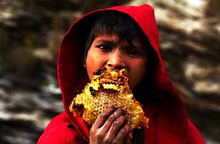 “Сладкое золото”: история о том, как добывают дикий мед в Непале