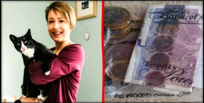 “Настоящий добытчик”: в Англии домашний кот начал приносить своей хозяйке деньги