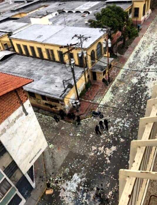 “Денежный дождь”: жители Венесуэлы выкинули обесценившиеся деньги на улицы города