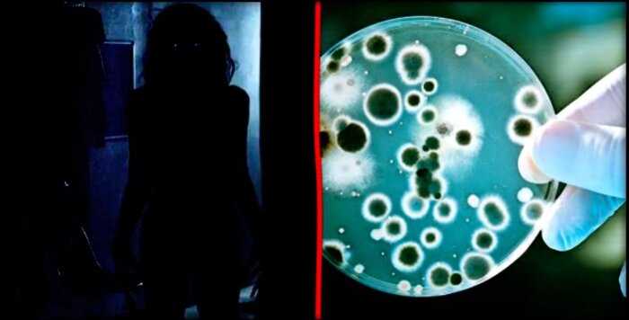 “Их просто нет”: ученые доказали, что привидения — это галлюцинации, вызванные грибком