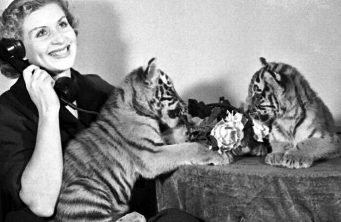 «Плачущая тигрица»: история дрессировщицы Маргариты Назаровой, которая могла усмирить любого хищника