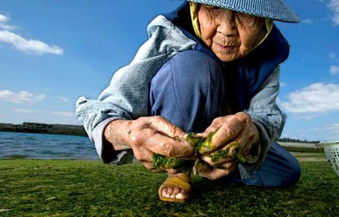 “Земля бессмертных”: почему жители острова Окинава живут дольше других людей?