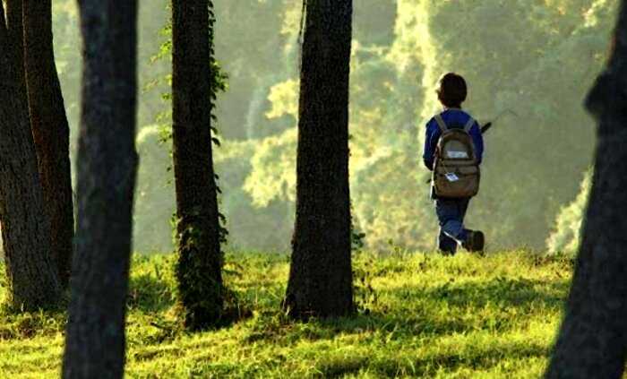В Японии родители оставили сына в лесу за непослушание. Он провел там 7 дней