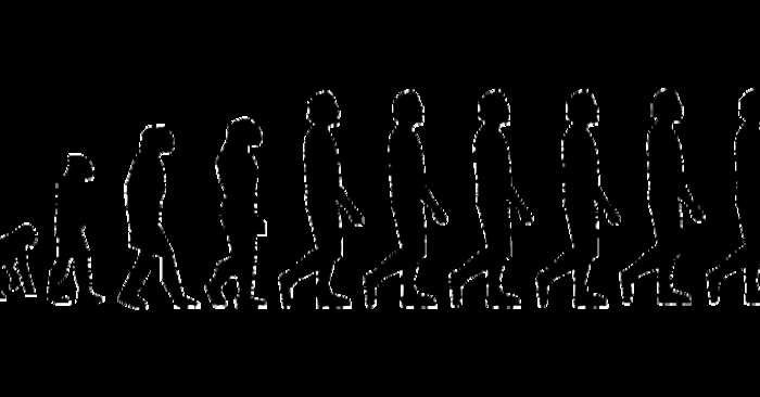 10 эволюционных загадок человека, которые ученым не удалось разгадать
