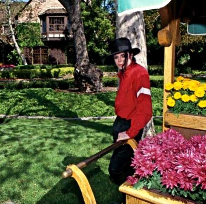 Дома знаменитостей: как выглядит легендарное ранчо Майкла Джексона Neverland
