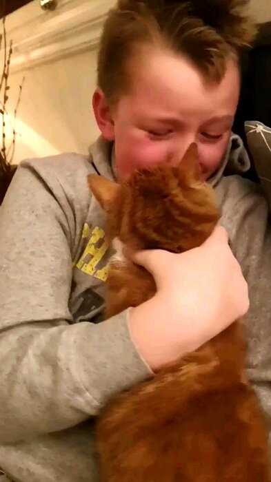 Мальчик снова увидел своего кота, потерявшегося 7 месяцев назад. Его реакцию не описать словами!