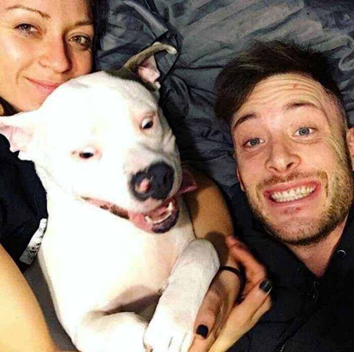 Пара выставила фото со своим псом, а через два часа к ним уже стучала полиция