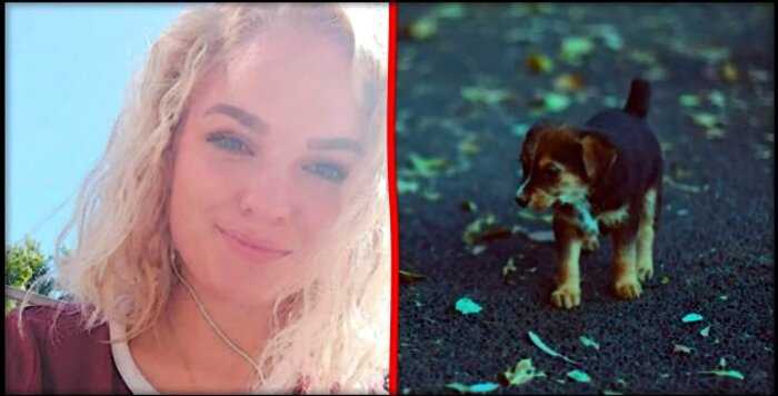 Норвежка приютила бездомного щенка и скончалась от бешенства