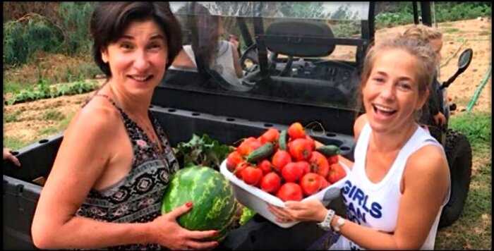 Многодетная Барановская вынуждена трудиться на томатной плантации, чтобы прокормить семью