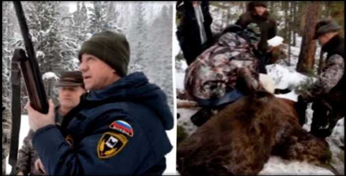 Иркутский губернатор застрелил спящего медведя и заснял это на видео