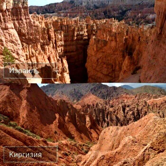 Девушка сравнила пейзажи Киргизии с другими странами, и их невозможно отличить
