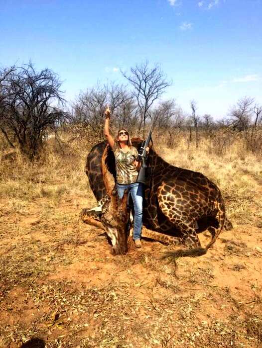 Охотница показала редкого черного жирафа, которого она подстрелила и интернет ее возненавидел