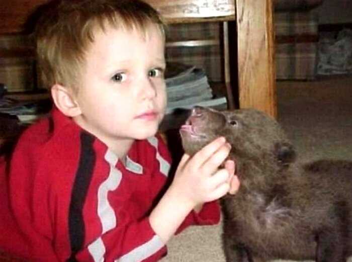 Когда-то мужчина спас медвежонка — он вырос в огромного гризли и стал его лучшим другом