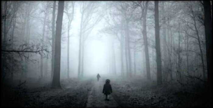 «Знайте свое место»: почему в Голландии родители бросают детей на ночь в лесу?