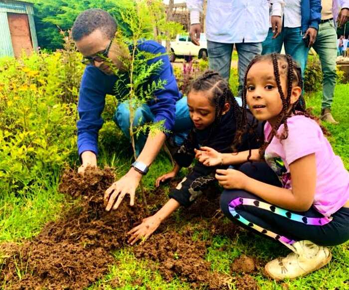 «Впереди планеты всей»: жители Эфиопии посадили 350 миллионов деревьев за 12 часов!