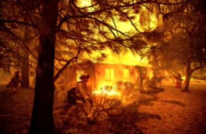 В Калифорнии питбуль спас малышку от смерти, вытащив из горящего дома