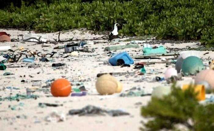 «Самое грязное место на Земле»: райский необитаемый остров пал жертвой пластика