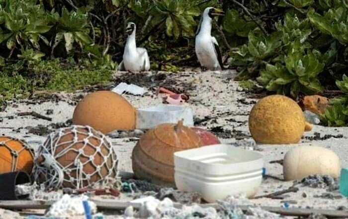 «Самое грязное место на Земле»: райский необитаемый остров пал жертвой пластика