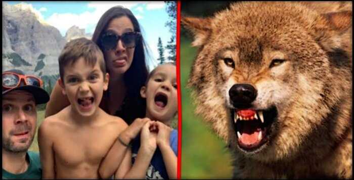 В Канаде отец спас семью от нападения волков во время кемпинга