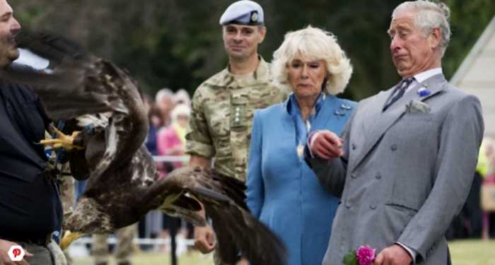 8 забавных и даже нелепых случаев в британской королевской семье