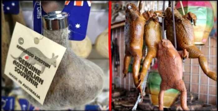 «Мошонка кенгуру и не только»: 9 самых странных сувениров в разных странах мира