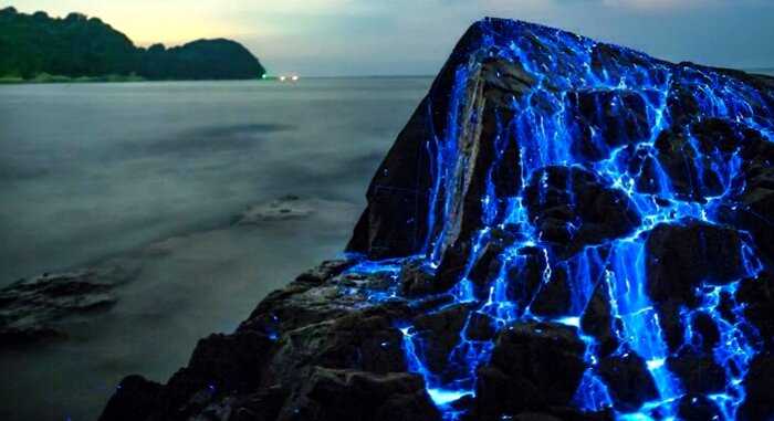 «Волшебство да и только»:  почему ночью скалы в Японии становятся синими?