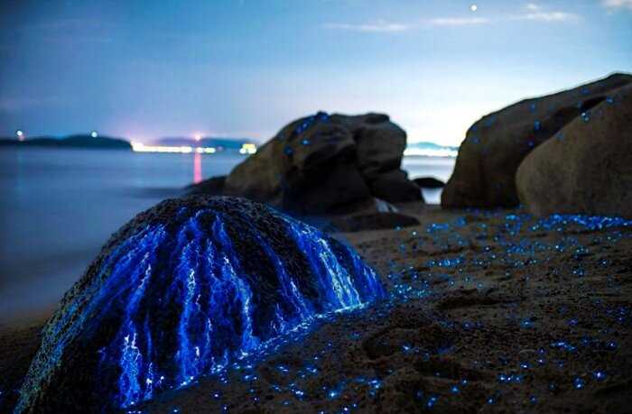 «Волшебство да и только»:  почему ночью скалы в Японии становятся синими?