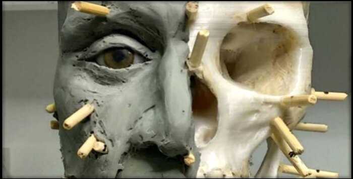 Учёные воссоздали внешность женщины, жившей 7,5 тысяч лет назад