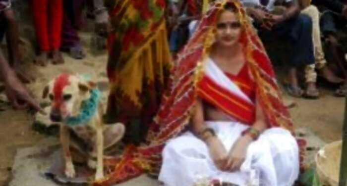 «Любовь зла»: Индийская девушка вышла замуж за собаку. Серьезно