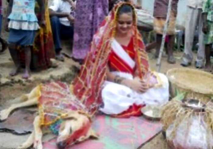 «Любовь зла»: Индийская девушка вышла замуж за собаку. Серьезно