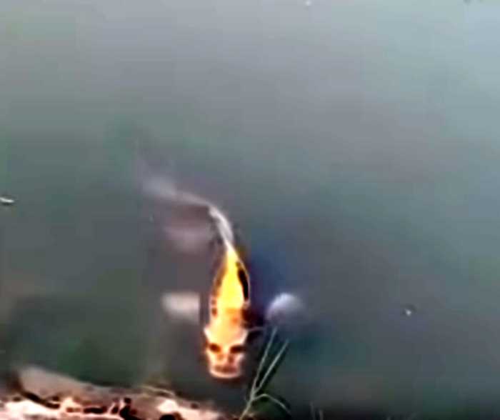 В Китае обнаружили странную рыбу с человеческим лицом