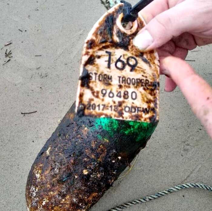 15 неожиданных и удивительных находок, которые случайно нашли на пляже