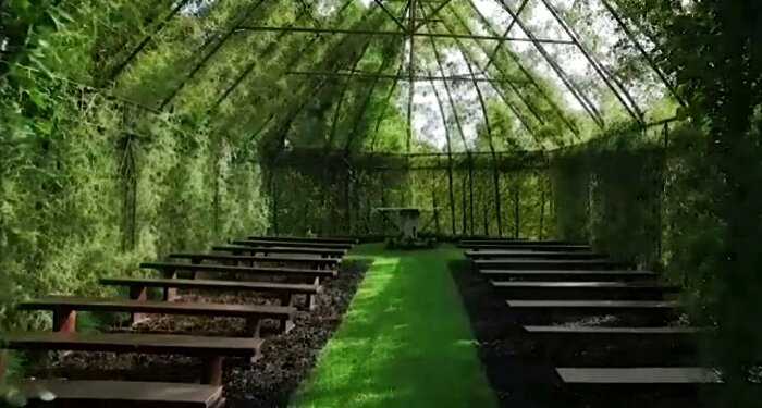 Американец за 4 года вырастил церковь из деревьев на заднем дворе