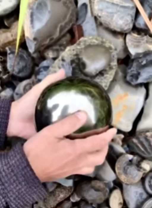 Палеонтолог-любитель нашел редкий золотой шар с существом внутри