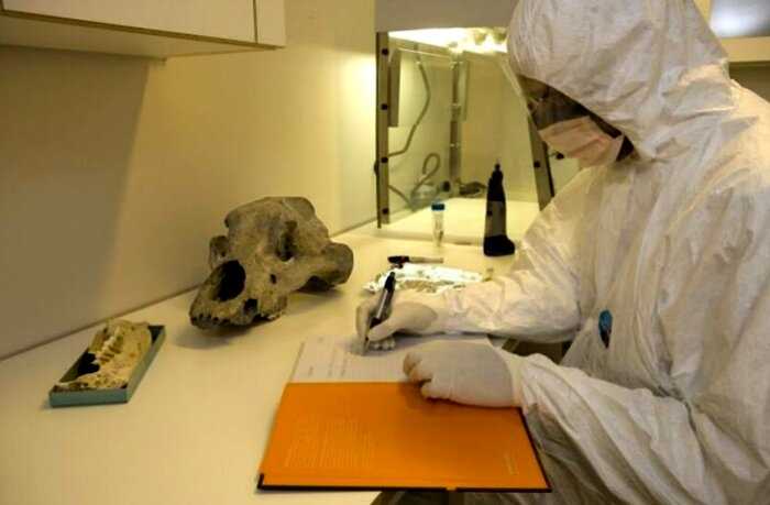 В Сибири найдена идеально сохранившаяся мумия животного, которому 5000 лет