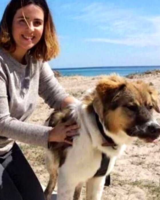 В Стамбуле дети «подшутили» над собакой, полностью залив ее клеем