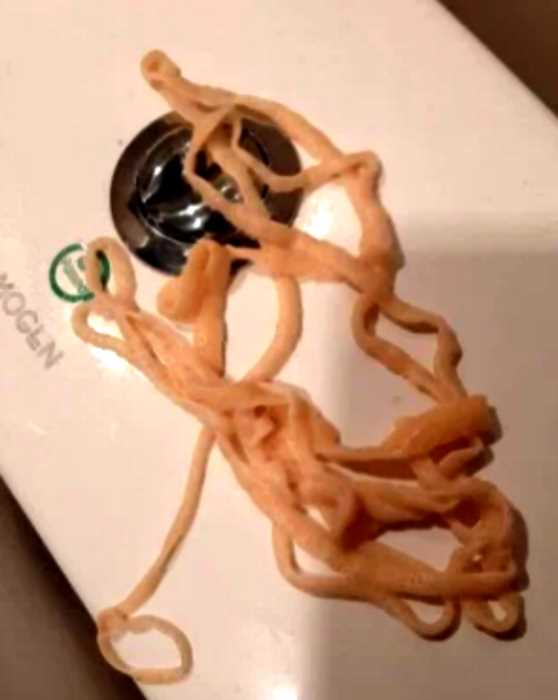 В Таиланде мужчина достал ленточного червя из своего тела прямо в туалете